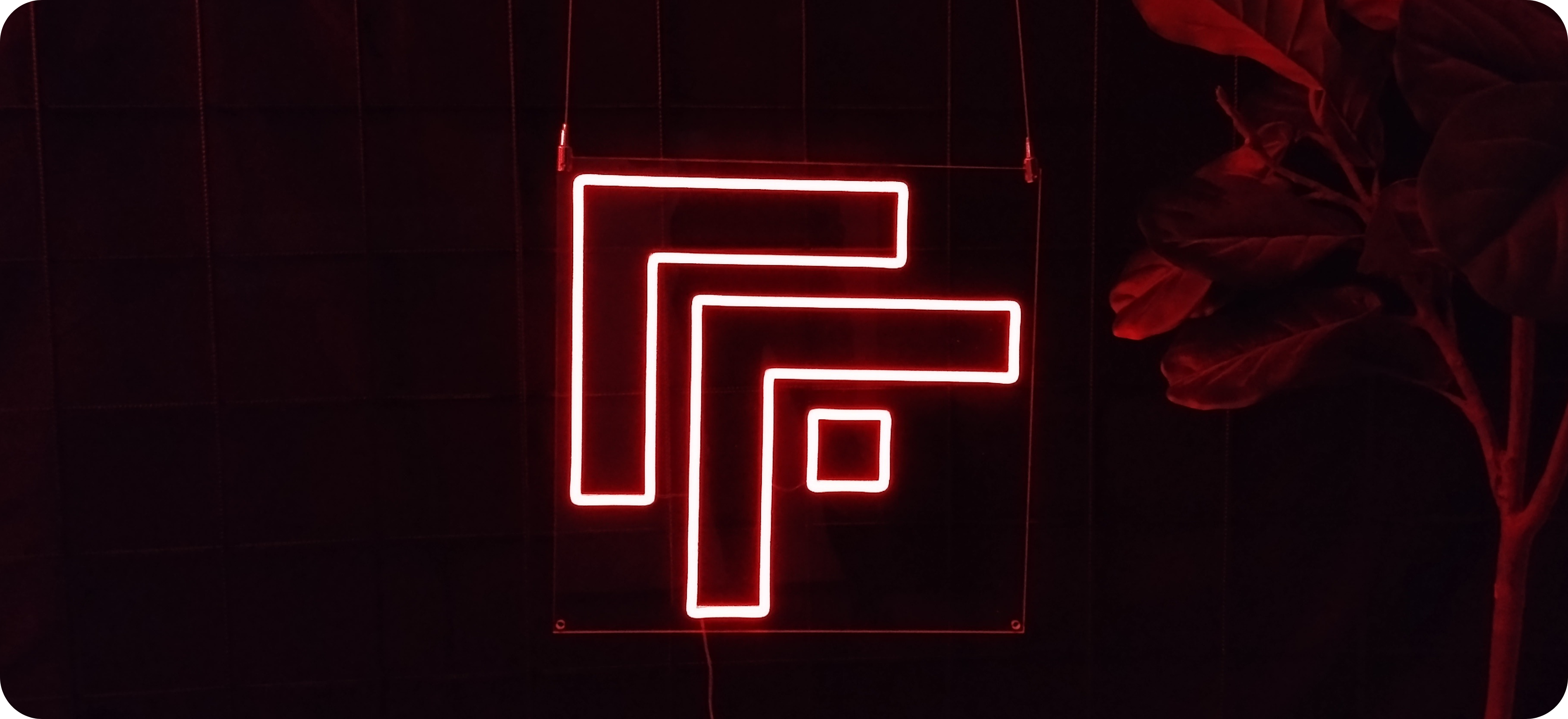 53